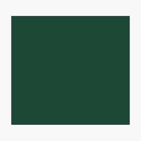 49" x 96.5" Aluminum Sheet Metal .030" - Emerald Green