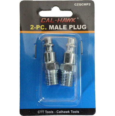 2pc Male Plug 1/4" NPT