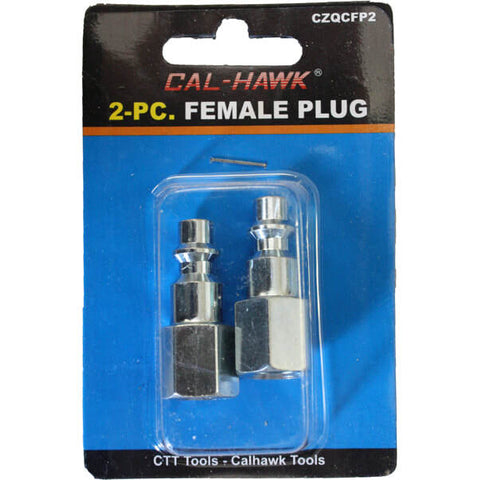 2pc Female Plug 1/4" NPT