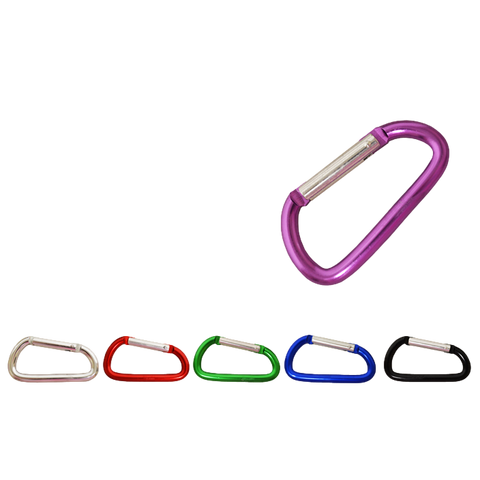 Medium Carabiner Keychain