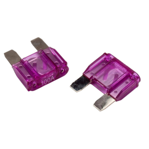 Rockford Fosgate 100 Amp Fuses
